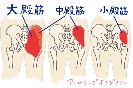 お尻の筋肉