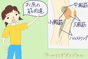 お尻の筋肉の部位と名前