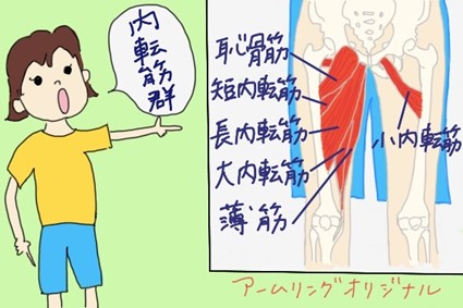 股関節のしくみ 股関節伸展に作用する筋肉 22年最新版 文京区のパーソナルトレーニング専門ジム アームリング千駄木 茗荷谷 股関節のしくみ 股関節伸展に作用する筋肉 22年最新版 文京区のパーソナルトレーニング専門ジム アームリング千駄木 茗荷谷