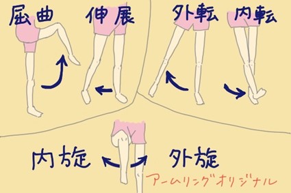股関節周辺の筋トレ完全攻略マニュアル 22年最新版 文京区のパーソナルトレーニング専門ジム アームリング千駄木 茗荷谷