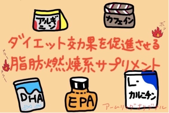ダイエット効果を促進させる脂肪燃焼系サプリメント 【2023年最新版 